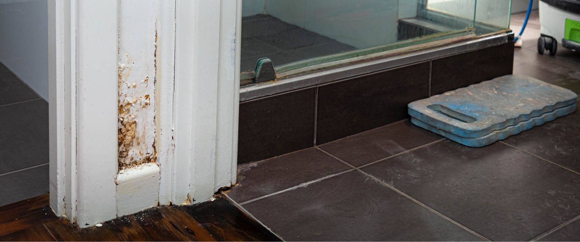 Leaking Shower Repair Mould Carouse