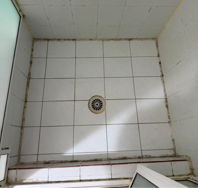 Tile Regrouting Work Before